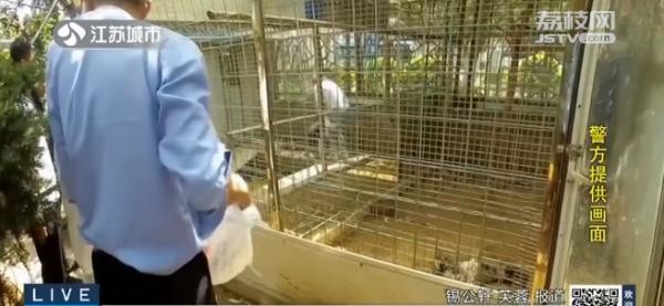 立即查处！猕猴、孔雀、黑天鹅……别墅内竟有人把野生动物当宠物养